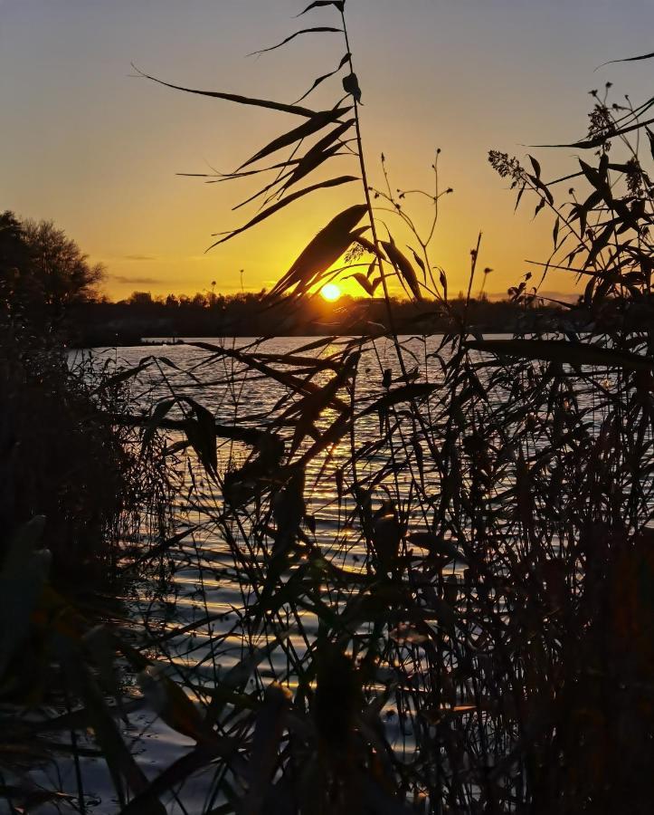 Seehotel Grunewald Berlin Eksteriør bilde